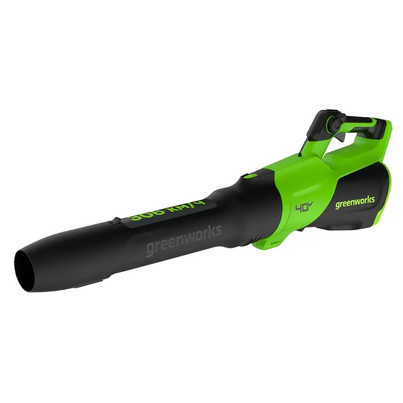 Воздуходув аккумуляторный Greenworks GD40BG3 (40V, с 1хАКБ 4Ач и ЗУ) 2408207UB