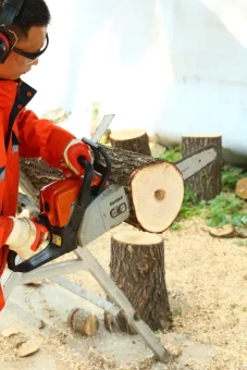 Бензопила SURUI CS320