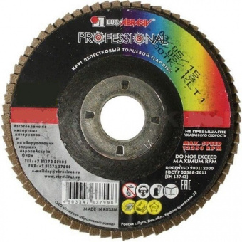 Круг лепестковый КЛТ1 (прям.) Profi 125*22 Р40 Луга 88285-А